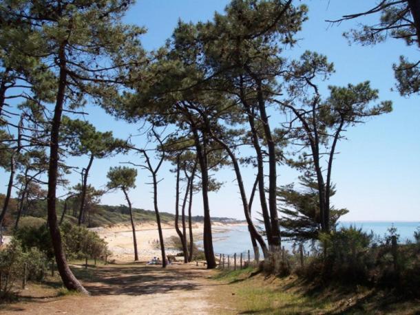 Villa L'Acacias Longeville-sur-Mer Bagian luar foto